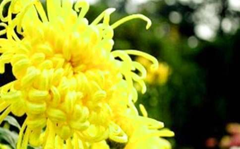 �ϋ��ľջ�����