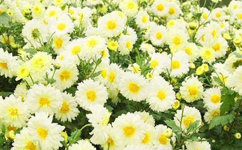 �����ջ��^������ӛ�����x30ƪ��