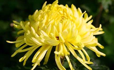 �ջ��^����ӛ�����x50ƪ��