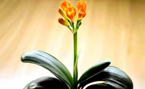 �����m����700��