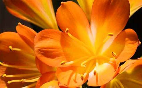 �茑�����m������200��