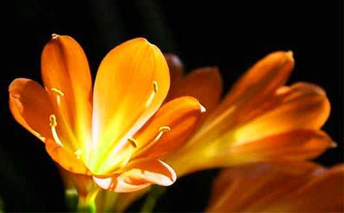 �茑�����m������800��