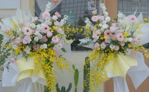 �µ��_����Ո�������x18ƪ��