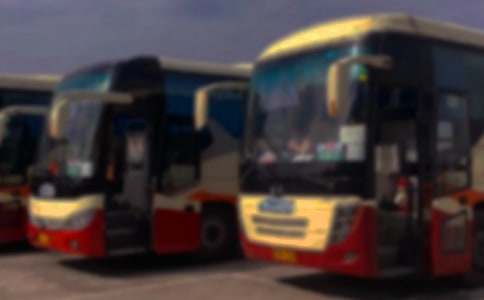 ���\վ���\����ͨ��10ƪ��