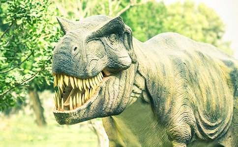 ���������^��з��ģ����x8ƪ��