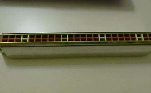 �ҵ�С����С�W����