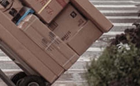 烏龜快遞公司童話作文