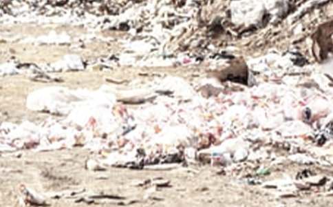 ����������500�֣����x50ƪ��