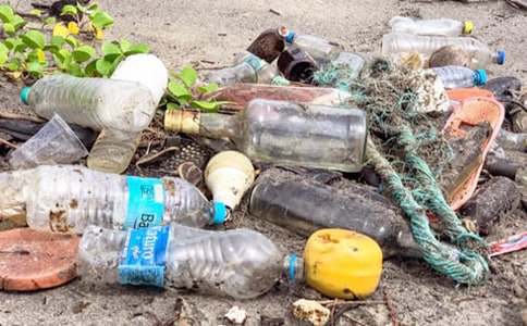 δ��������Ͱ����(����10ƪ)