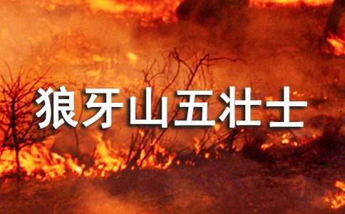 �ǳ����Đۡ��^������ɽ���ʿ���и�