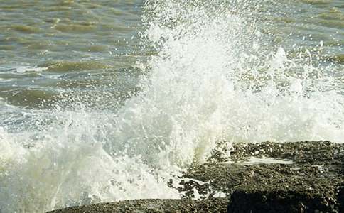 �����˻�����15ƪ