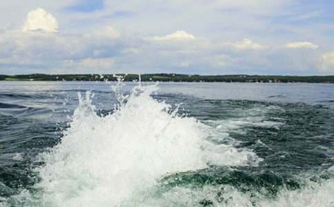 ӛ���˻�-��������