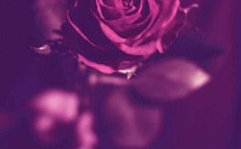 初中初三作文800字:光與影子的浪漫