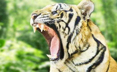 �����x���ϻ�ͯԒ���ĺϼ���ƪ