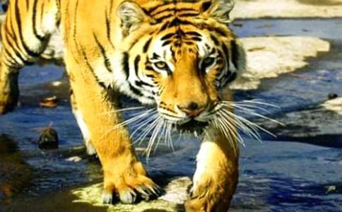 �����A���ϻ���ͯԒ���ģ�ͨ��30ƪ��