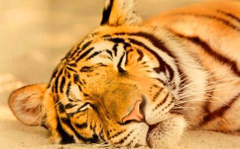 �����A���ϻ�ͯԒ�����\����ƪ