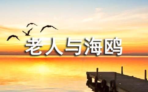 �����c���t����Ҫ���ݸ���