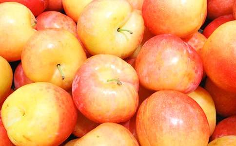 �P�����ӵ��f����5ƪ