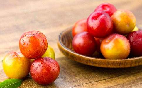 家鄉的李子作文600字(通用25篇)