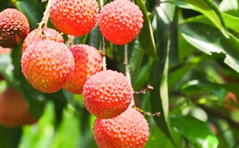 ������֦���@������