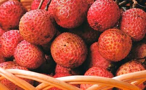 �����T����֦����300��4ƪ