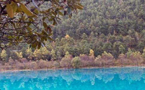 �P�������ųǵČ����~�����x22ƪ��