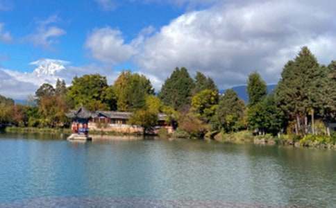 ��Ȼ�e�m����������800��