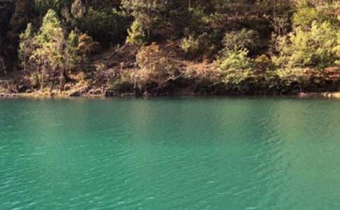 �����ų���ӛ����400�֣����x6ƪ��