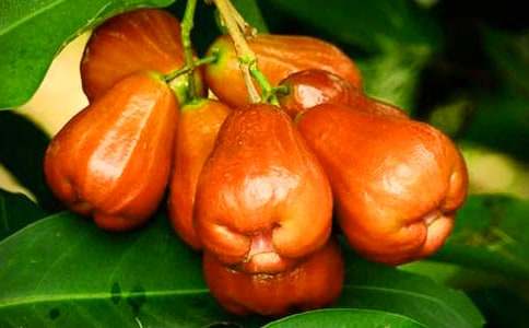 ɏ�F��������