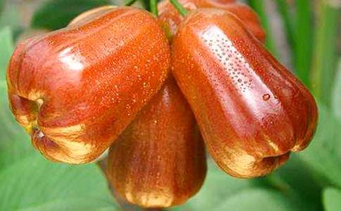 ��ɏ�F����