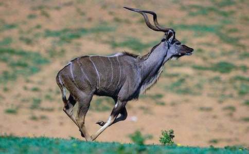 ����ľ���m������15ƪ