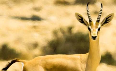 ������Ŀ��V��һ����