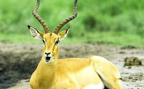 ����������ľ���m������