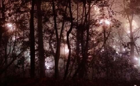 那樣的凌晨,那份暖意作文