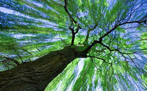 ���l�����������