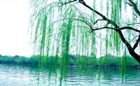 ���l���������ģ�ͨ��20ƪ��