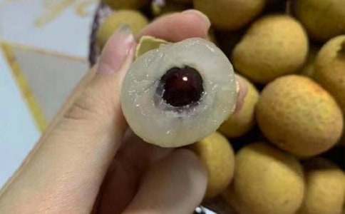 【精品】龍眼作文300字八篇