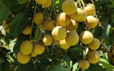 ���l����������4ƪ