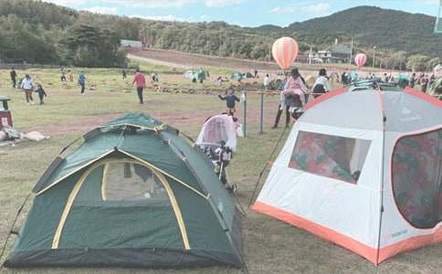 �P��¶�I����600��5ƪ