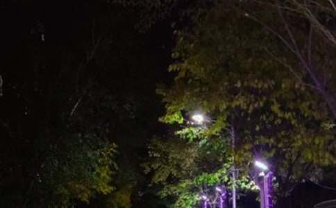 ����·��������800��