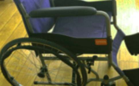 一個輪椅女孩的夢想小學作文