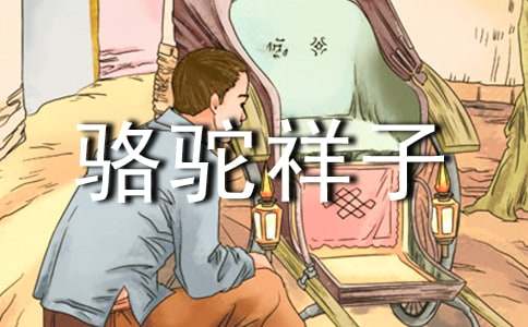 《駱駝祥子》讀書心得作文