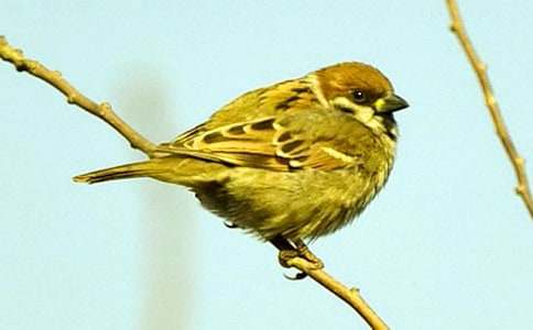 �茑��ȸ�ă������ģ�ͨ��28ƪ��