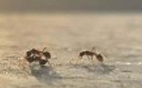 �����������£��nω��Λρ