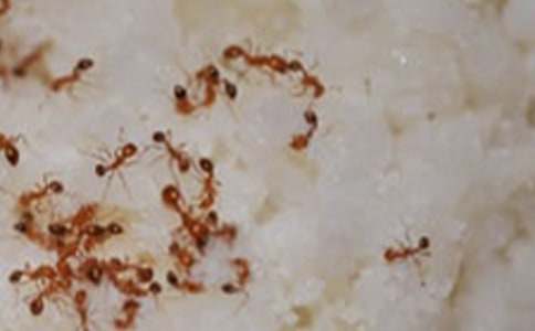 С�W�^��Λρ��ӛ��ͨ��26ƪ��