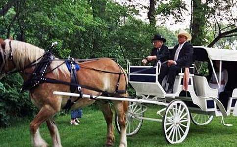 ���P�R܇���Ԣ�Թ���