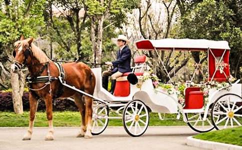 �R܇���Ԣ�Թ���