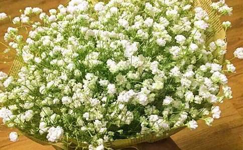 ������M���ǳ�M��������600��