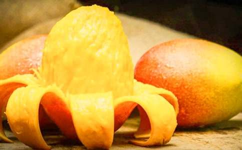 芒果樹的自述作文