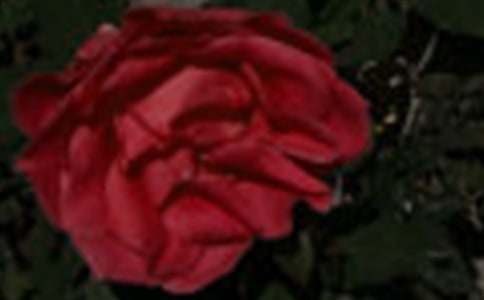 õ�廨���^����ӛģ��ϼ�9ƪ